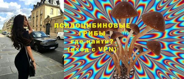эйфоретик Новодвинск